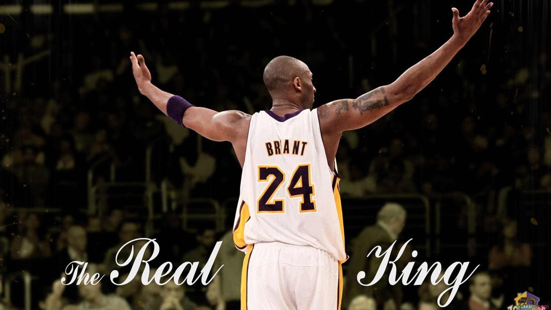 欧文关键战不手软,开拓者粉碎猛龙,诠释何为大心脏